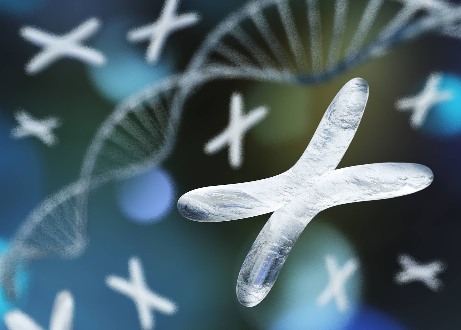 Una imagen con un cromosoma X relacionado con las afecciones genéticas.